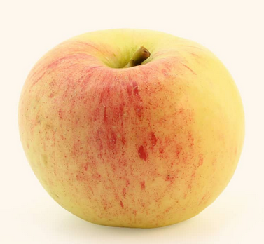 Apple - Goodland