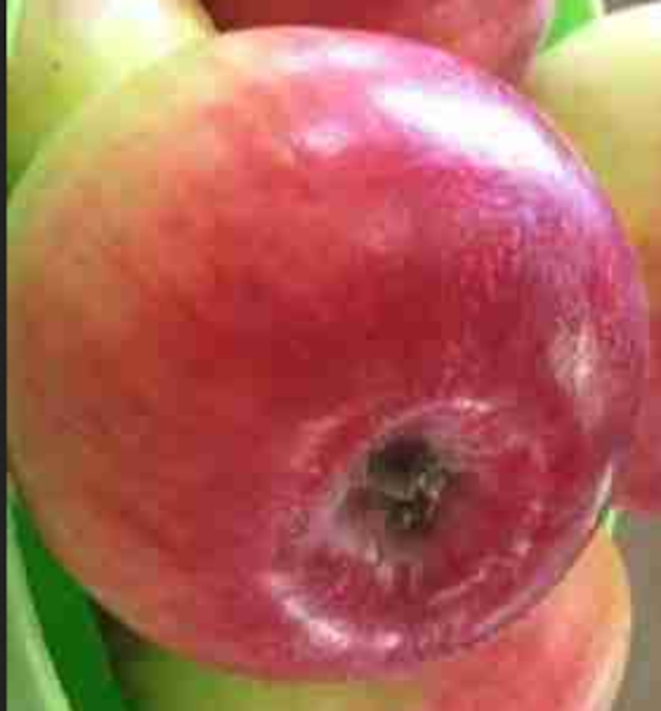 Apple -Red Sparkle