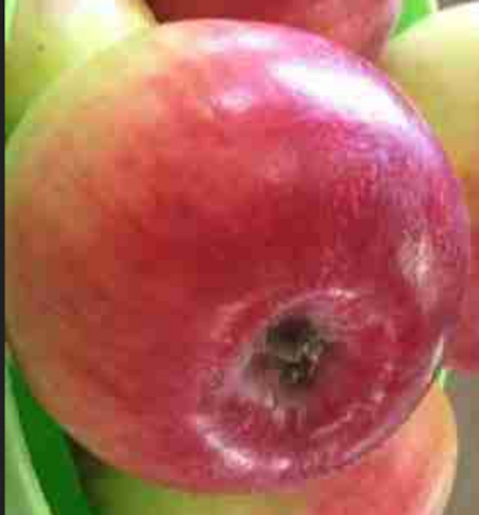 Apple -Red Sparkle